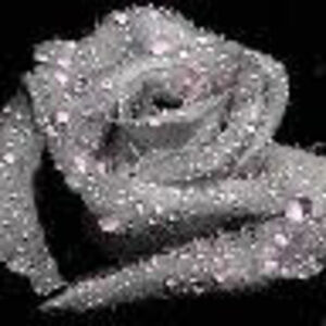 Meet your Posher, Mïsš ĥéllø kíttÿ